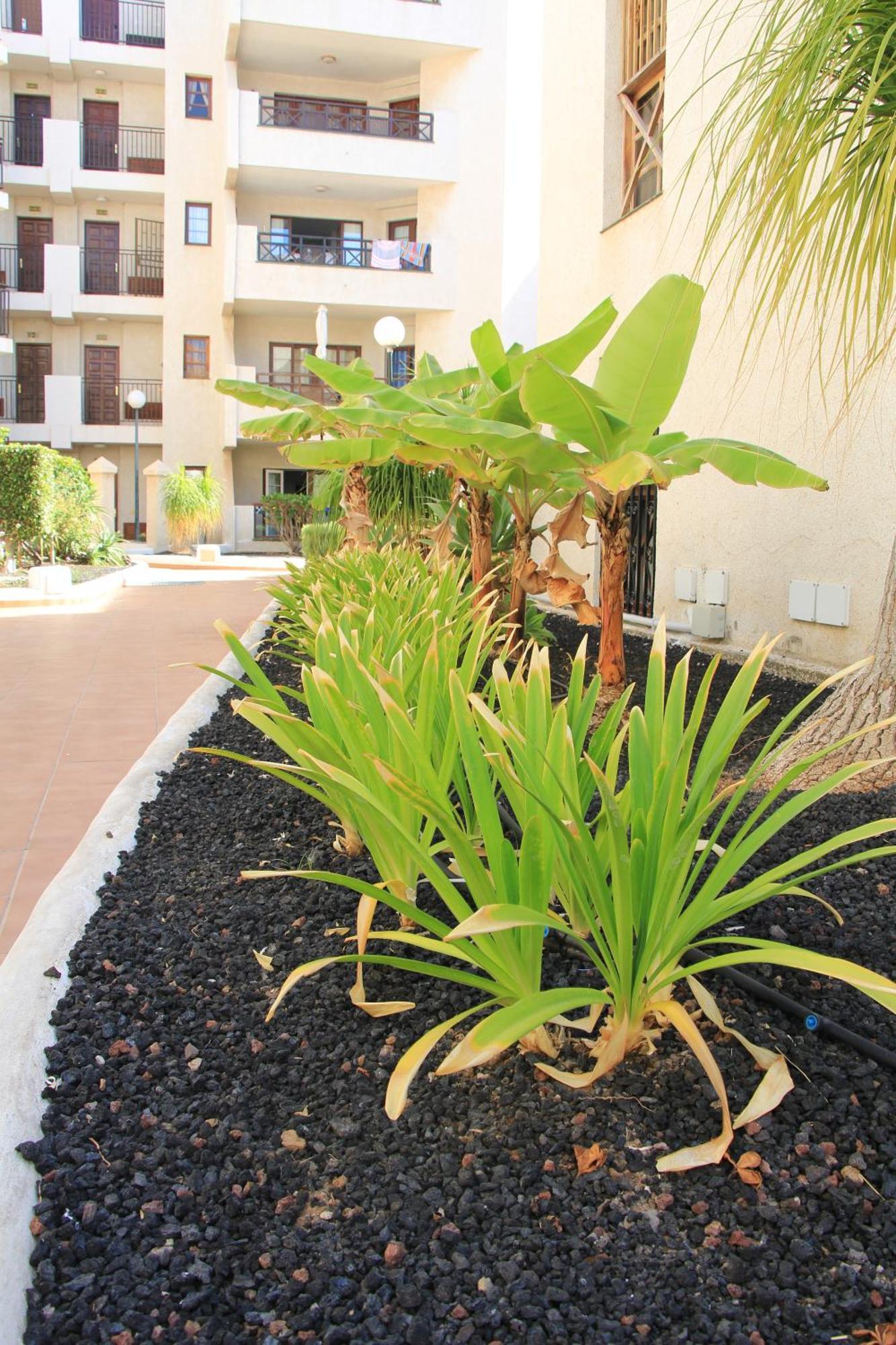 Las Americas - 2 Bedrooms - Flayla-A أرونا المظهر الخارجي الصورة